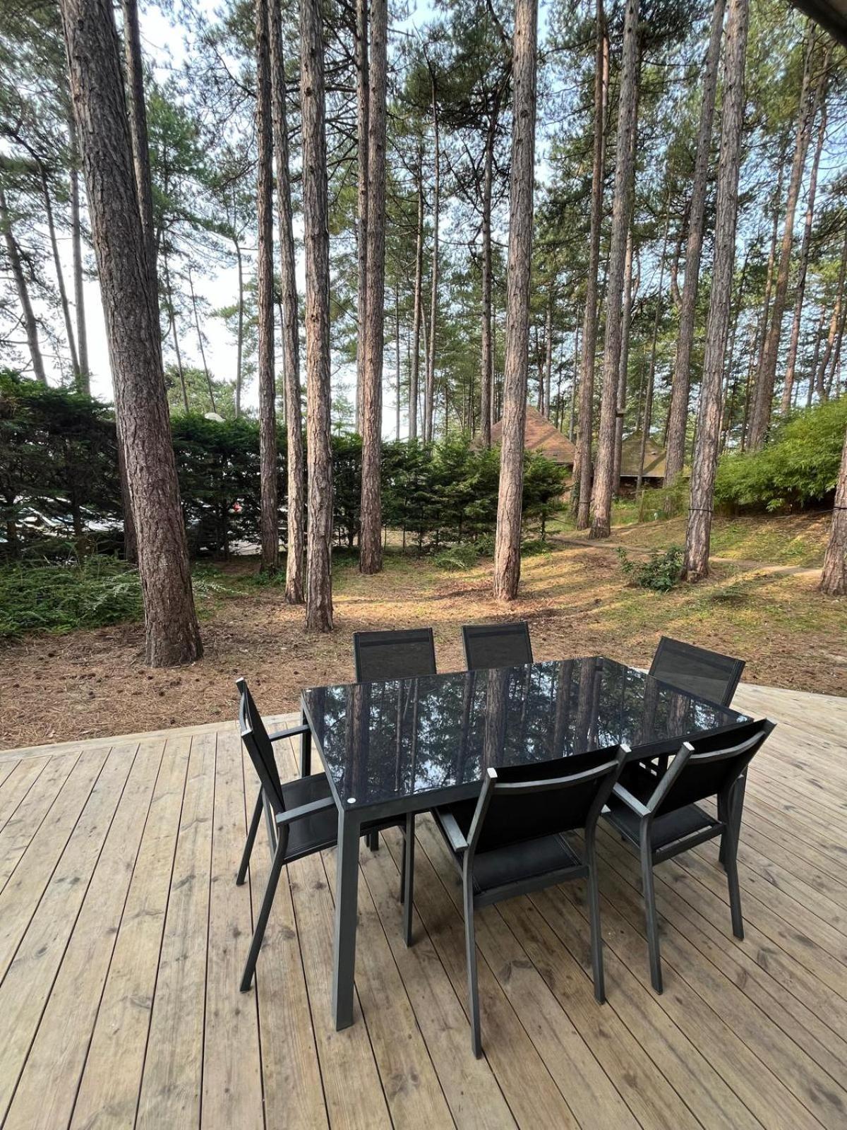 L Oree De La Pinede Hardelot Plage A 800 Metres De La Mer Sous Les Pins מראה חיצוני תמונה