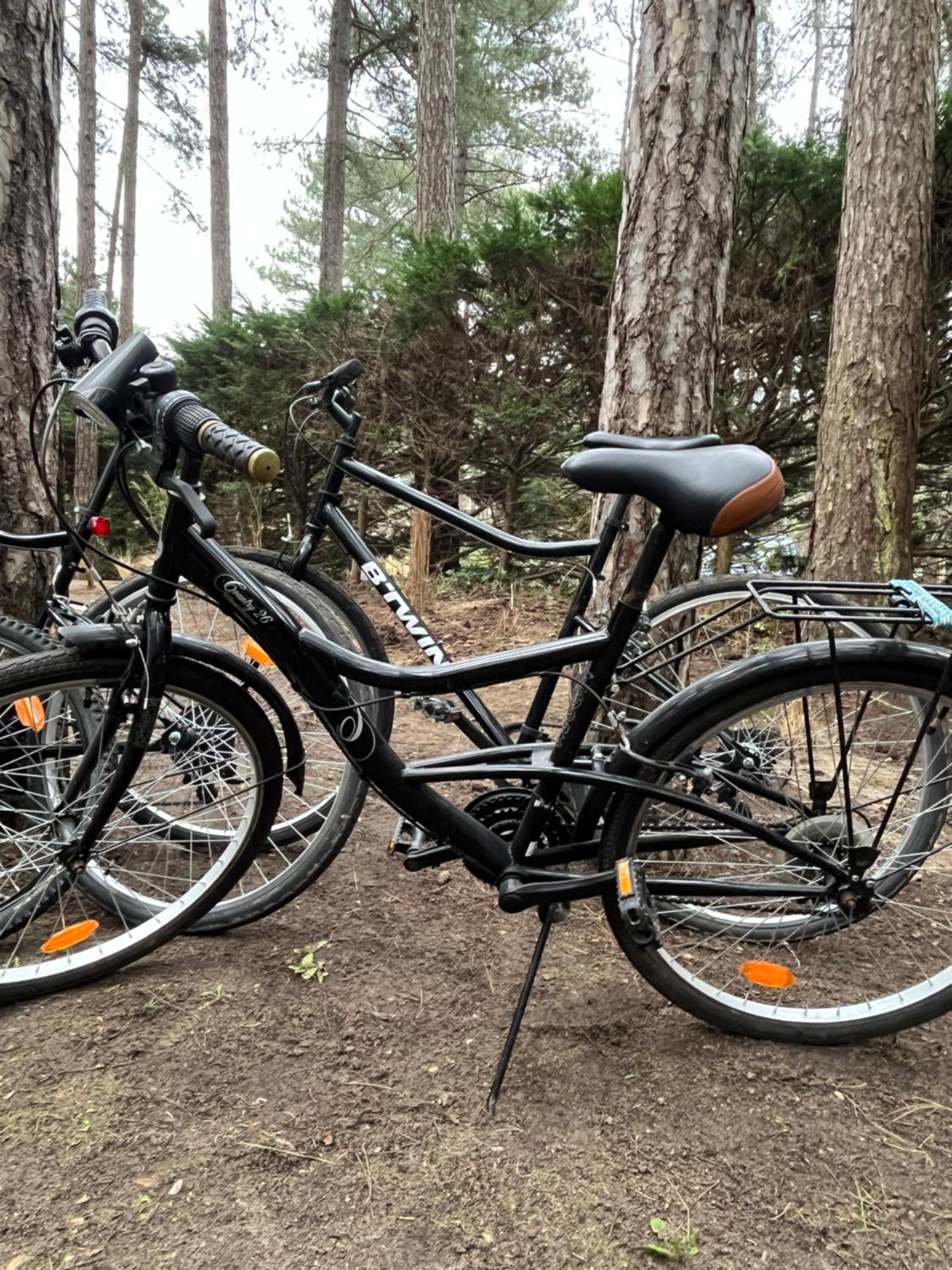 L Oree De La Pinede Hardelot Plage A 800 Metres De La Mer Sous Les Pins מראה חיצוני תמונה