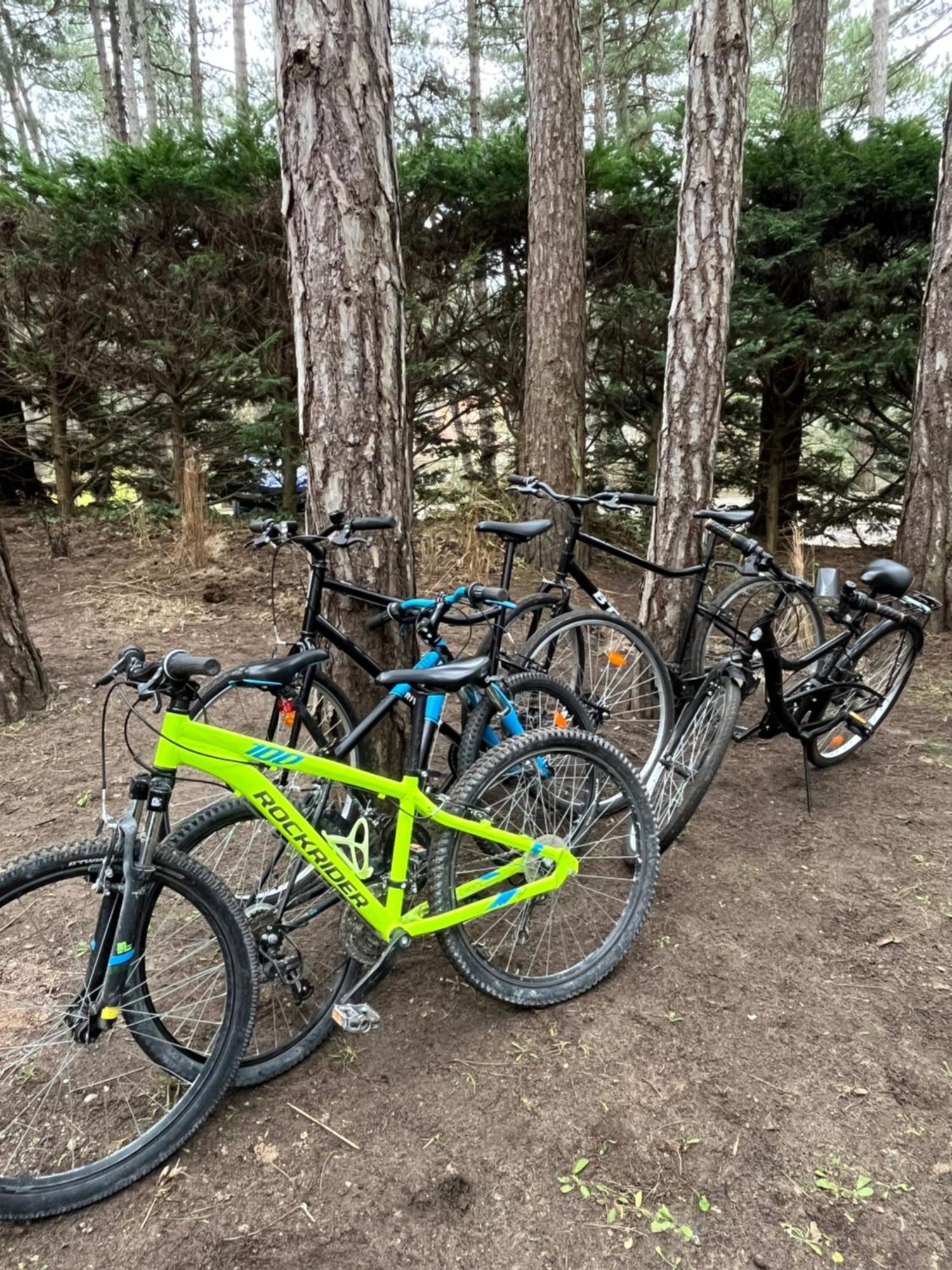 L Oree De La Pinede Hardelot Plage A 800 Metres De La Mer Sous Les Pins מראה חיצוני תמונה